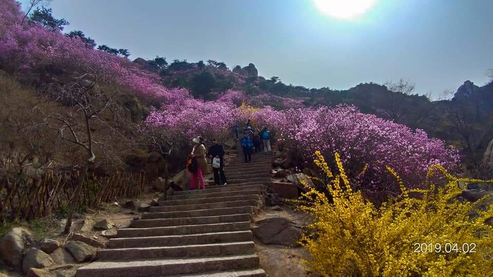 大珠山風(fēng)景區(qū)最新攻略，大珠山風(fēng)景區(qū)最新旅游攻略