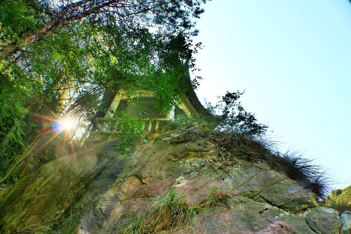 天臺華頂森林公園最新動態(tài)與探索，天臺華頂森林公園最新動態(tài)及探索之旅