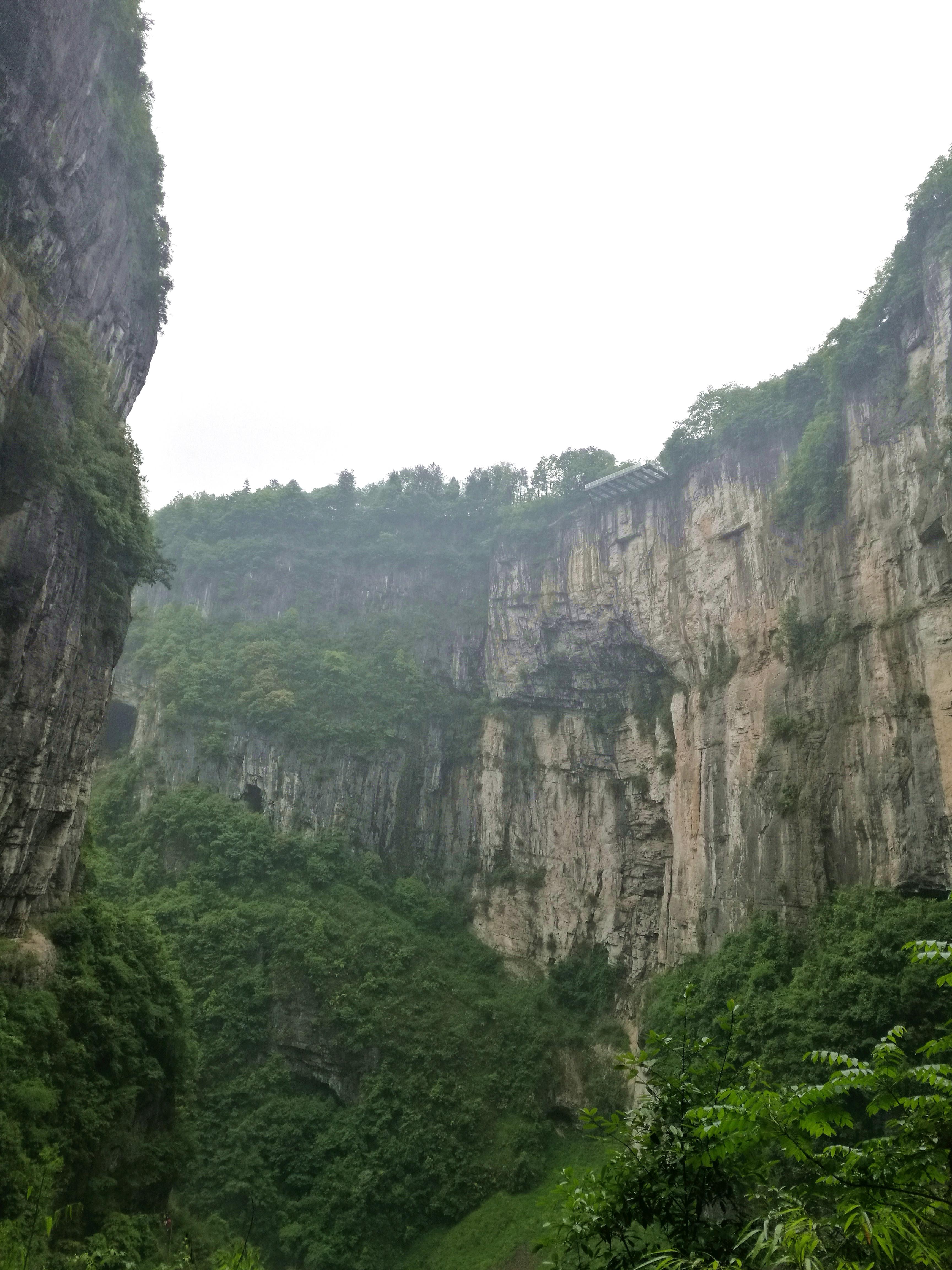 最新重慶武隆仙女山，自然美景與人文魅力的交融，重慶武隆仙女山，自然與人文的絕美交融之地