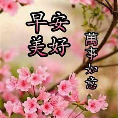 早上好最新祝福圖片，開啟美好的一天，早上好最新祝福圖片，開啟美好一天的溫馨問候