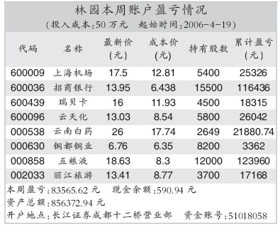 林園持股一覽表，深度解析與策略展望，林園持股全景解析及策略展望