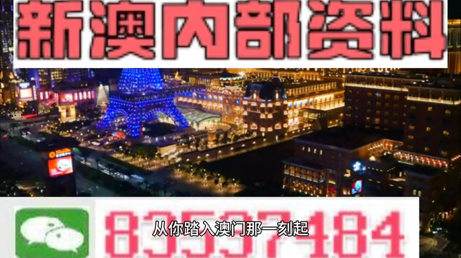 探索2024年新澳門免費資料大全，深度解析與實用指南，澳門免費資料解析與實用指南，深度探索與犯罪警示