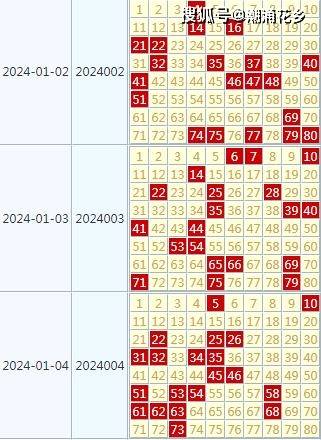 探索好運之門，2024天天開好彩大全第176期，探索好運之門，第176期好運彩全解析