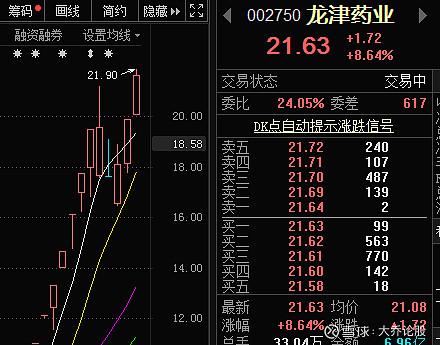 龍津藥業(yè)最新消息全面解析，龍津藥業(yè)最新動態(tài)全面解讀