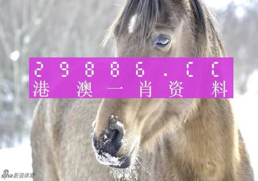 最準(zhǔn)一肖一碼100%澳門,專家說明意見_頂級(jí)版33.640