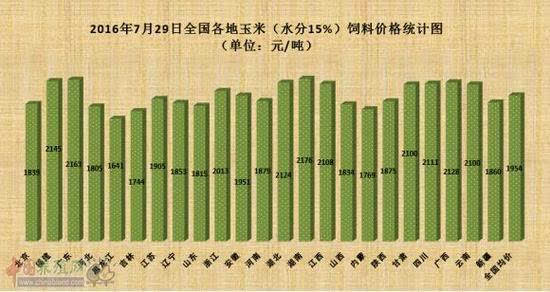 甘肅玉米價格最新行情分析，甘肅玉米價格最新行情解析