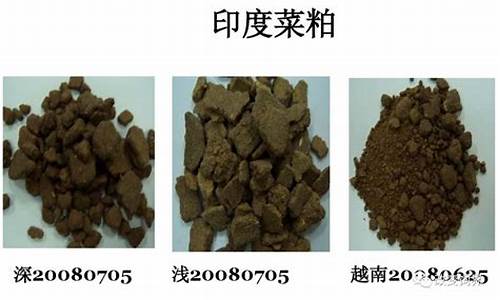 今日菜粕現貨最新價格，市場走勢分析與預測，今日菜粕現貨價格走勢分析，最新價格與預測報告