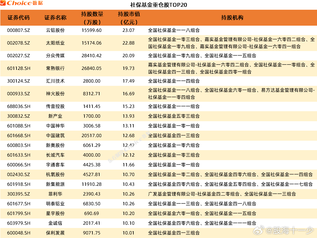 最新社保持倉股票，深度分析與展望，最新社保持倉股票深度解析與未來展望