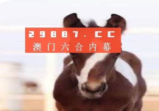 澳門一肖一碼一一特一中廠，探索神秘?cái)?shù)字背后的故事，澳門一肖一碼，神秘?cái)?shù)字背后的故事探索