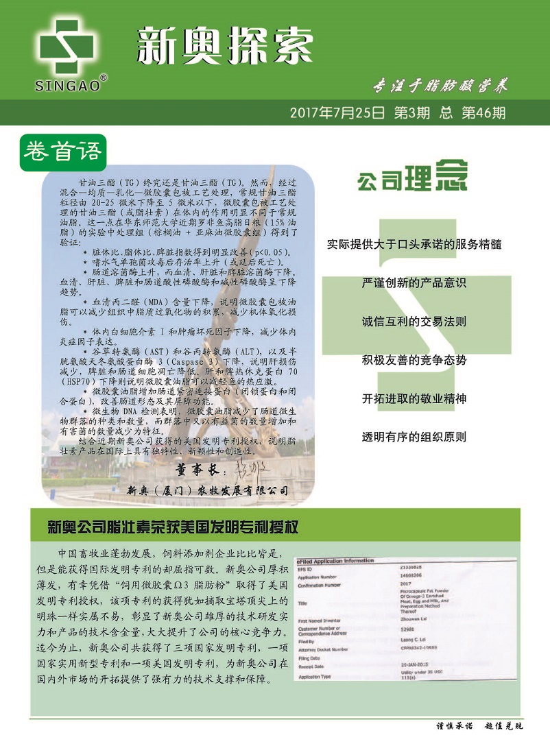 揭秘2024新奧精準(zhǔn)正版資料，全方位解讀與應(yīng)用策略，揭秘2024新奧精準(zhǔn)正版資料，全方位解讀與策略應(yīng)用指南