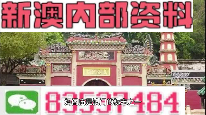 澳門三肖三碼精準100%黃大仙——揭示犯罪現象的警示文章，澳門三肖三碼精準與黃大仙，犯罪現象的警示文章深度剖析