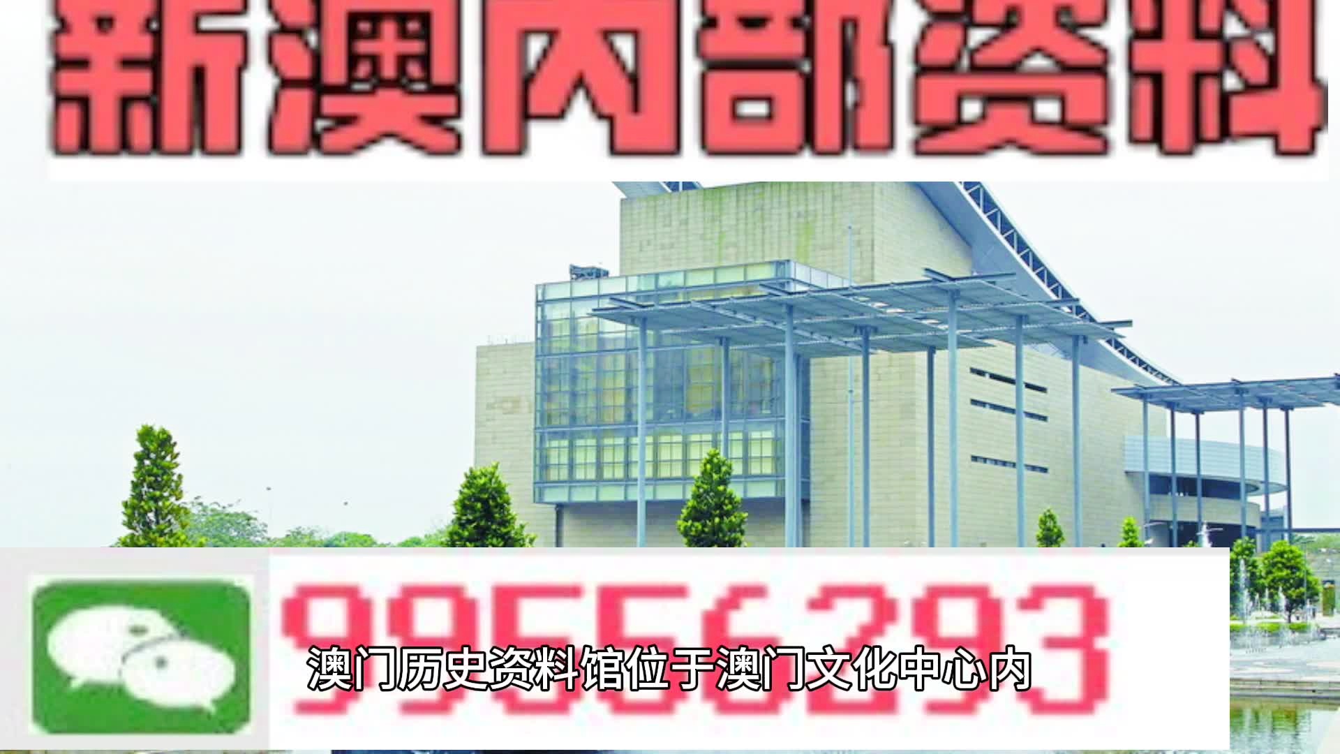 關于新澳門資料大全正版資料與免費下載的探討——警惕違法犯罪風險，澳門正版資料與免費下載的探討，警惕違法犯罪風險