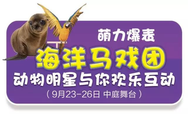 新澳門天天開獎資料大全與違法犯罪問題，澳門彩票資料與違法犯罪問題探討