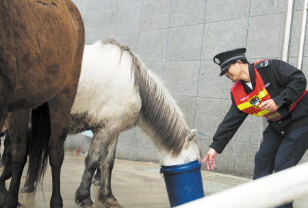 澳門今晚開特馬四不像圖——警惕賭博犯罪風(fēng)險(xiǎn)，澳門警惕，四不像圖背后的賭博犯罪風(fēng)險(xiǎn)