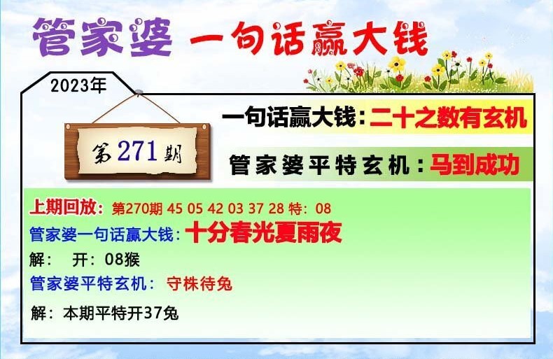 7777788888管家婆一肖碼,實(shí)踐策略設(shè)計(jì)_NE版99.814