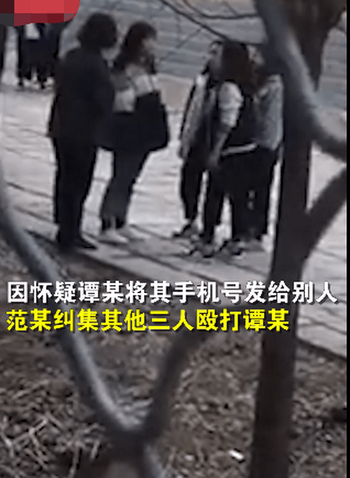 校園暴力事件，三名初中生校內(nèi)遭群毆的反思與應(yīng)對，校園暴力事件引發(fā)深思，應(yīng)對初中生校內(nèi)群毆的反思與策略