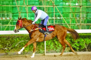 關于澳門特馬今晚開獎的討論與警示——警惕違法犯罪風險，澳門特馬今晚開獎討論背后的風險警示，警惕違法犯罪陷阱