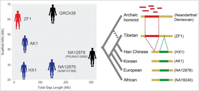 澳門新三碼必中一免費,科學(xué)評估解析_經(jīng)典款68.360