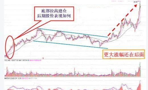 投資必看：鳳凰網(wǎng)最準(zhǔn)一碼一肖100%成功案例分享