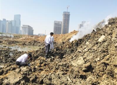 安徽工地驚現巨型石獸首，揭秘千年古物背后的故事，安徽工地發現千年古物巨型石獸首，揭秘背后神秘故事