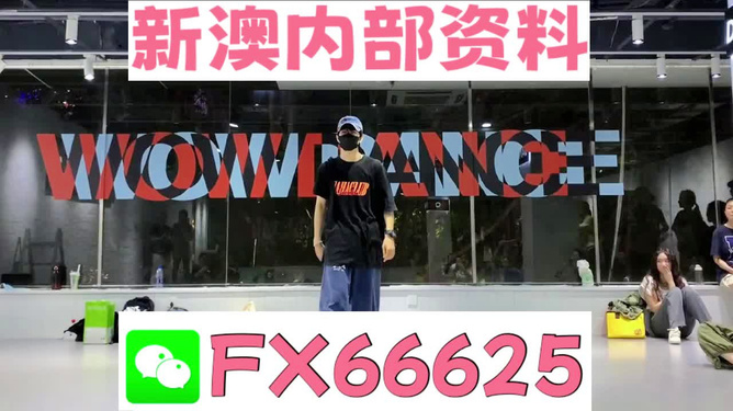 新澳門2024年資料大全管家婆，探索與解讀，澳門未來(lái)展望，解讀新澳門2024年資料大全與管家婆探索揭秘