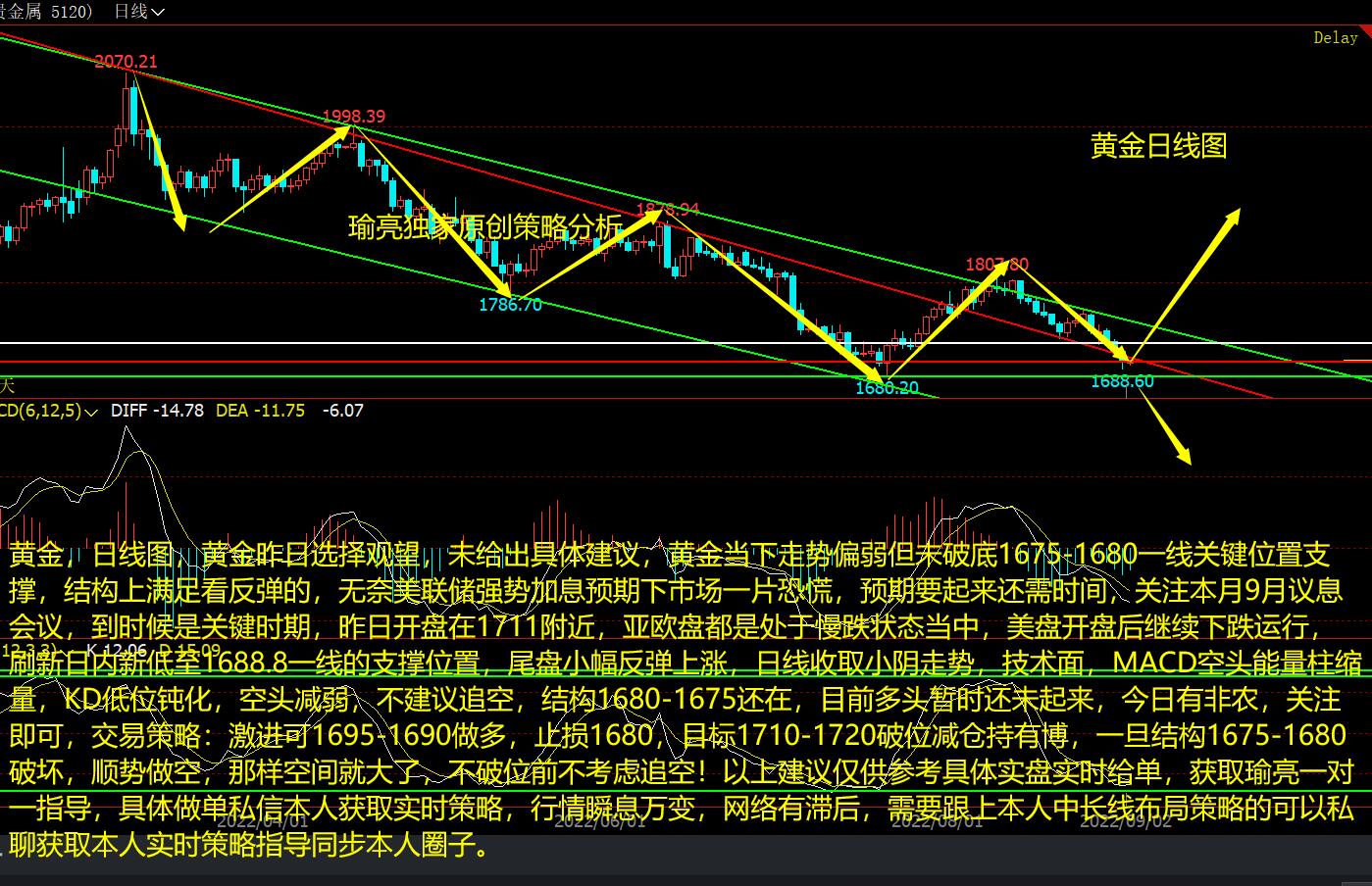 黃金最新走勢分析，市場動向與未來展望，黃金走勢最新分析，市場動向揭秘與未來展望